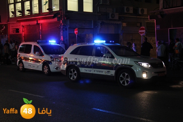 shejar aretreeien (4).JPG